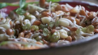  Mikroçim ve kabuklu tanecikler su akıntısı ile, yakın çekim yavaş çekim. Sağlıklı çiğ vegan organik gıda konsepti