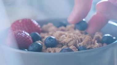 Sağlıklı granola müsli 'ye taze böğürtlen ekliyorum. Sağlıklı kahvaltılık yulaf ezmesi, yaban mersini, çilek ve süt..