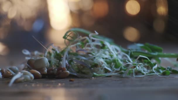 Mikrogreens dan biji-bijian tumbuh di atas meja kayu dengan tetesan air jatuh, close-up melihat dalam gerakan lambat — Stok Video