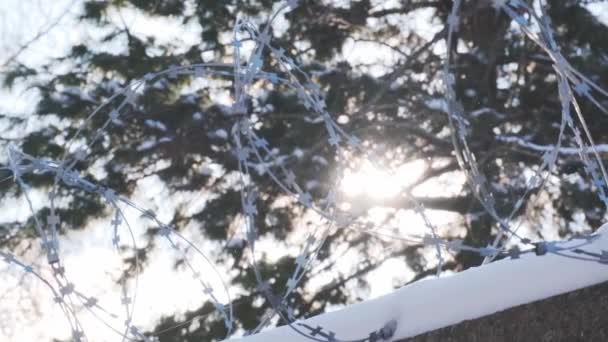 Fil barbelé sur le dessus de la clôture enneigée contre les branches d'arbres — Video