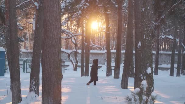 女性は冬の日没時に雪の公園を歩く — ストック動画
