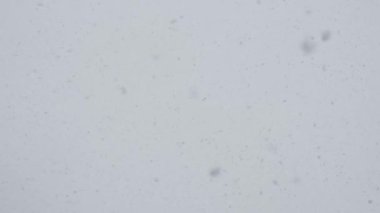 Gök ve kış ormanlarına karşı yağan karın yavaş hareketi. Kış ormanlarındaki bulanık arka plana bak..