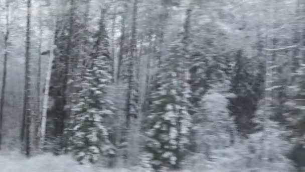 Fagyott erdők, téli hideg táj, hó és jég mentén haladva. Pov nyomkövető lövés a vonat ablakából. — Stock videók