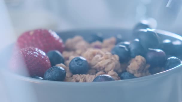 Fallende Blaubeeren in natürlichem Bio-Müsli und einer Mischung aus frischen Bio-Früchten und Beeren. — Stockvideo