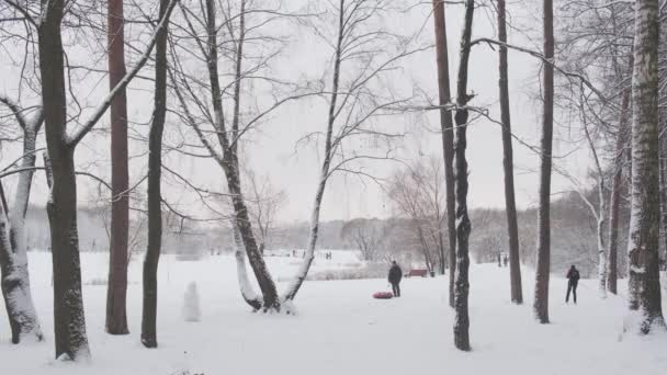 Mann mit Schlitten und Skifahrerin im wunderschönen Winterpark — Stockvideo