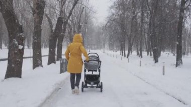 Şehir parkında kar fırtınası. Anne büyük kar taneleriyle bir bebek arabasında kar altında yuvarlanıyor. Bir kadın bir çocukla yürür. Kış şehri konsepti.