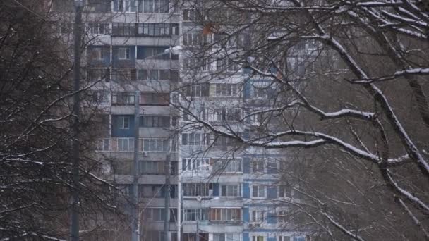 Bloque prefabricado de pisos y árboles desnudos en el día de invierno — Vídeos de Stock