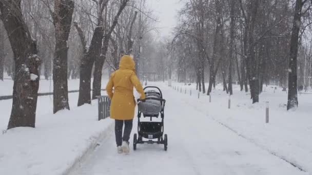 Şehir parkında kar fırtınası. Anne büyük kar taneleriyle bir bebek arabasında kar altında yuvarlanıyor. Bir kadın bir çocukla yürür. Kış şehri konsepti. — Stok video