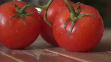 Güzel kırmızı domatesler, su damlaları makro video. Organik yiyecekler ve çiftlik yemekleri için taze ıslak sağlıklı domates..