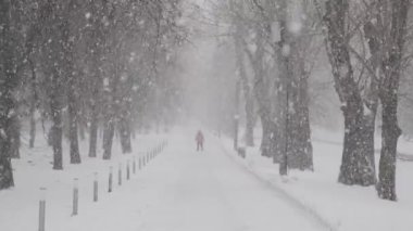 Gök ve kış ormanlarına karşı yağan karın yavaş hareketi. Kış ormanlarındaki bulanık arka plana bak..