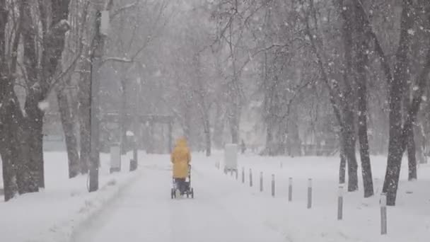 Schneesturm im Stadtpark. Mutter rollt Baby im Kinderwagen unter Schneefall mit großen Schneeflocken. Eine Frau geht mit einem Kind spazieren. Winterstadtkonzept. — Stockvideo