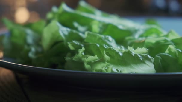 野菜サラダの葉のショットをスライドアップ新鮮な食材からプレート、健康的で有機食品に残します。ベジタリアンダイエット. — ストック動画