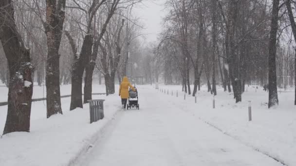 シティパークでは雪が吹雪になる。雪の多い雪の下でベビーカーに赤ちゃんを転がすお母さん。女は子供を連れて歩く。冬の街のコンセプト. — ストック動画