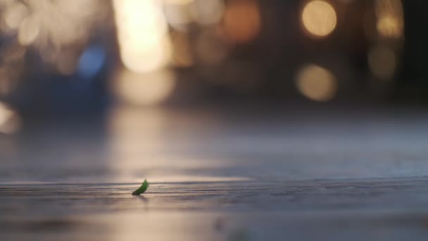 나무 테이블에 떨어지는 미세 한 녹색, 느린 움직임으로 가까이 보기. — 비디오