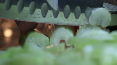 Kereviz kesmek, mutfak bıçağı kullanmak, organik çiftlikten yemek ve pişirmek için taze sağlıklı kereviz..