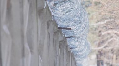 Ağaç dallarına karşı karlı çitin tepesinde dikenli tel var.