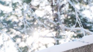 Ağaç dallarına karşı karlı çitin tepesinde dikenli tel var.