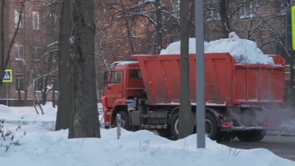 冬はオレンジシティの雪が街中を動き回る — ストック動画