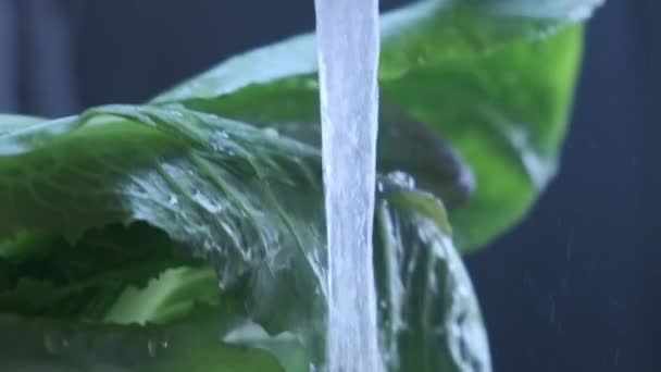 Un mucchio di insalata verde fresca si riversa nel corso d'acqua, vista da vicino al rallentatore. L'insalata di lattuga romagnola con gocce d'acqua viene lavata con acqua pulita. — Video Stock