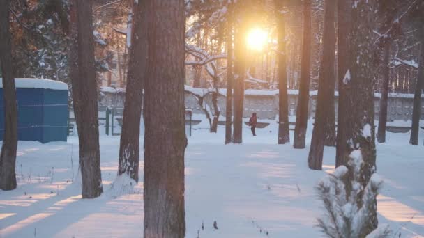Frau spaziert im Winter bei Sonnenuntergang durch verschneiten Park — Stockvideo