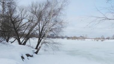Kahverengi donmuş çalılar ve çıplak ağaçlarla geniş karlı çayır.
