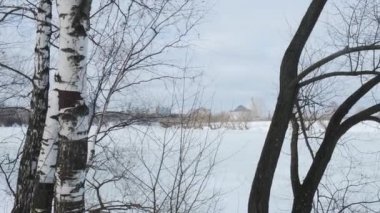 Kahverengi donmuş çalılar ve çıplak ağaçlarla geniş karlı çayır.