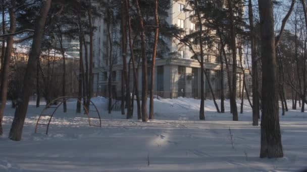 Großes städtisches Gebäude steht bei Sonnenuntergang zwischen gefrorenen Bäumen — Stockvideo