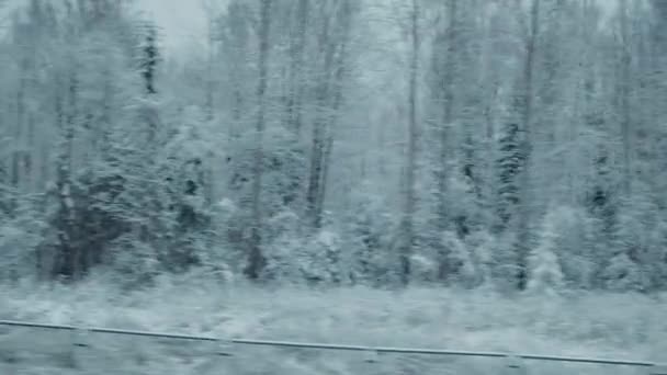 Går längs frusna skogar, vinterkallt landskap, snö och is. Pov spårning skott från tågfönstret. — Stockvideo