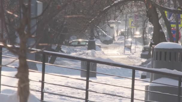 雪の結晶は凍った木や手すりで街の熱霞になります — ストック動画