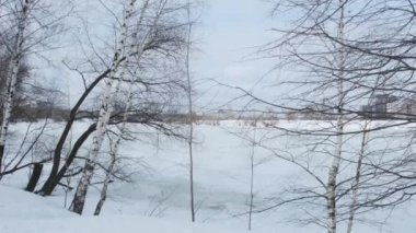Kahverengi donmuş çalılar ve çıplak ağaçlarla geniş karlı çayır.