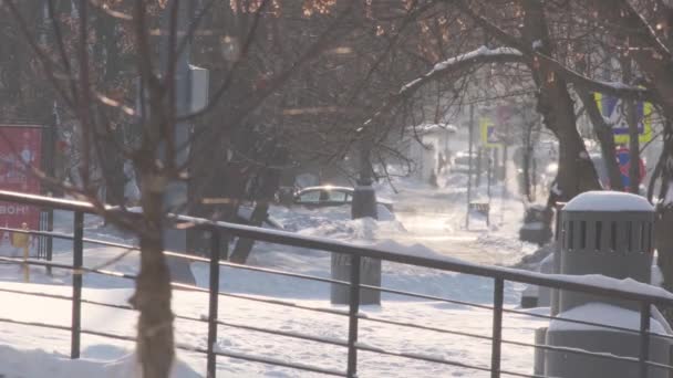 雪花给城市带来了热气，使城市笼罩上了冰冻的树木和扶手 — 图库视频影像