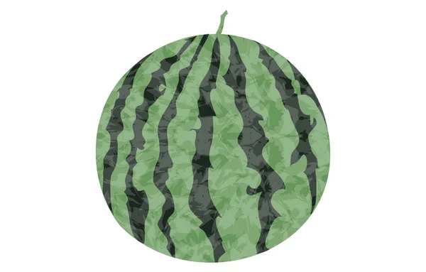 Wassermelone Ganze Transparente Aquarellmalerei — Stockvektor