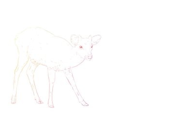 Gerçekçi hayvan çizimi, gökkuşağı renkli geyik yavrusu ayağa kalkıyor