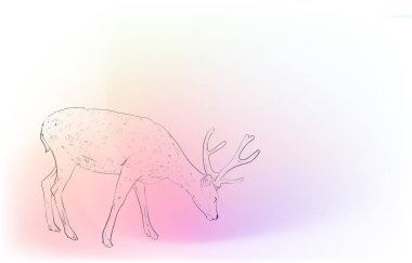 Gerçekçi hayvan çizimi: Yanardöner arkaplan: Geyiğin yan görünümü