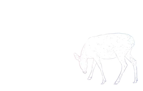 Realistische Tierillustration Regenbogenfarbener Hirsch Der Auf Füße Blickt — Stockvektor