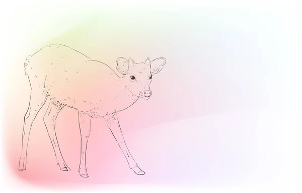 Realistické Zvířecí Ilustrace Duhové Pozadí Vstojící Kolouch — Stockový vektor