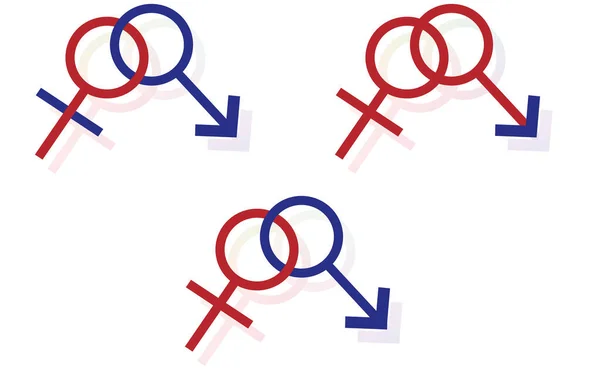 Piktogramme Männliches Und Männliches Paar Weibliches Und Weibliches Paar Männliches — Stockvektor