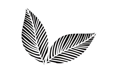 Botanik çizimler: yapraklar, damarlar, ilkel görüntüler