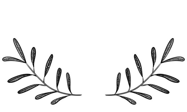 Botanische Illustraties Hoofdversiering Bladeren Aderen Vruchteloos — Stockvector