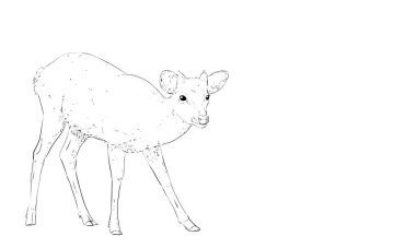 Fotorealistik el yazısı geyik sanatı