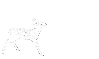 Fotorealistik el yazısı geyik sanatı