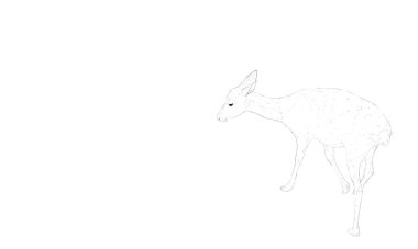 Fotorealistik el yazısı geyik sanatı