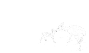 Fotorealistik el yazısı geyik sanatı