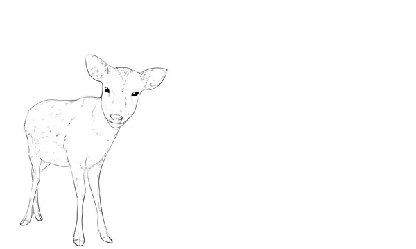 Photoreal Handwritten Line Deer — 스톡 벡터