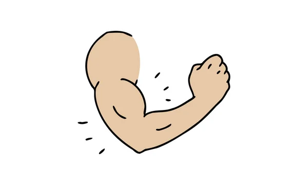 Biceps Met Mannelijke Nadruk — Stockvector