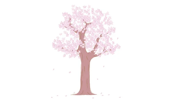 Cerezo Plena Floración — Vector de stock