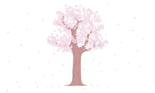 벚나무 — 스톡 벡터