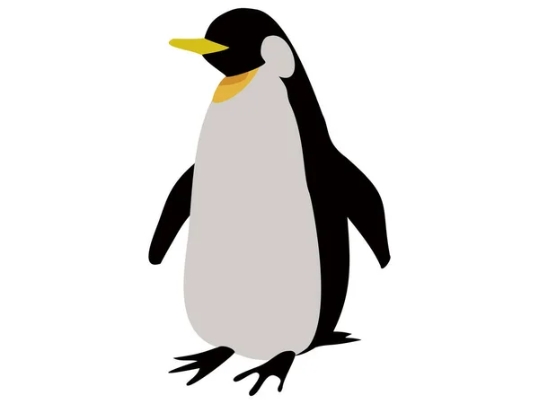 Marint Liv Pingviner Stående — Stock vektor