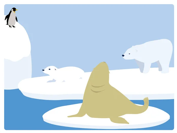 北极熊 毛皮海豹 — 图库矢量图片