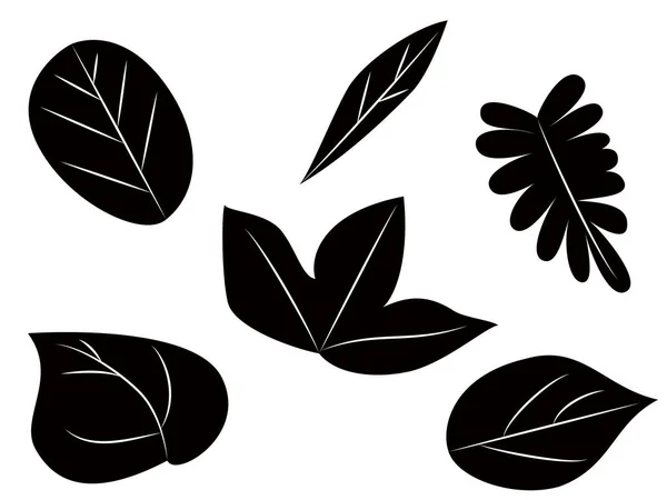 Simple Plant Leaves Monochrome — Stock Vector